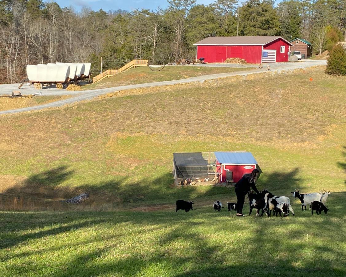 Smoky Hollow Outdoor Resort Covered Wagon Сивиървил Екстериор снимка